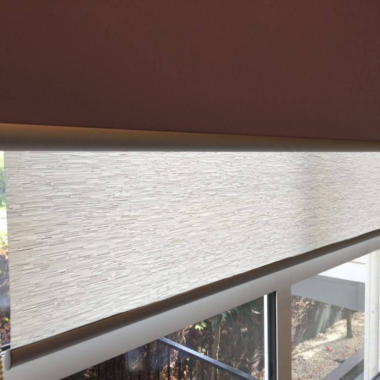 Double Roller Blinds in Takapuna