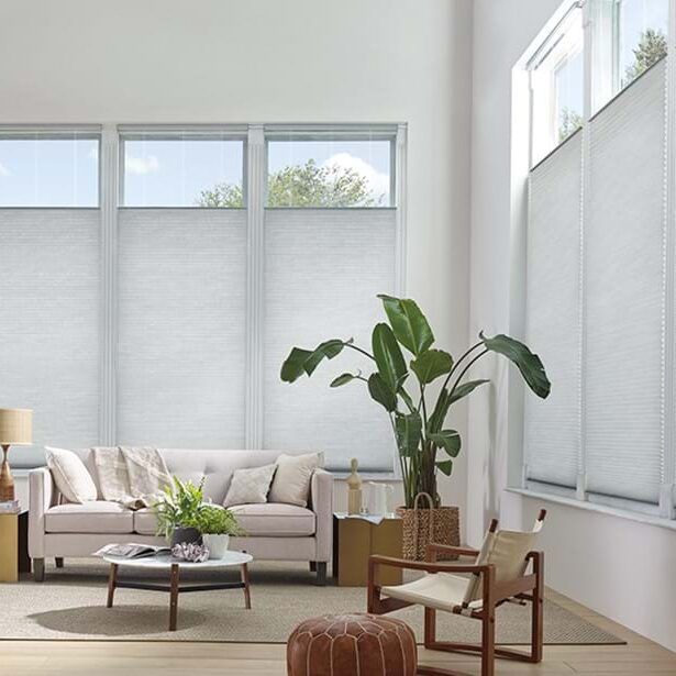 Duette® translucent shades