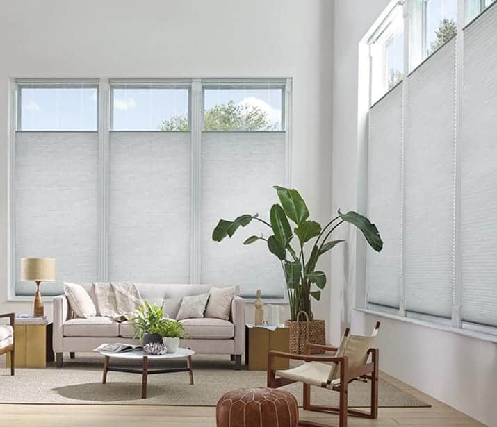 Duette® translucent shades