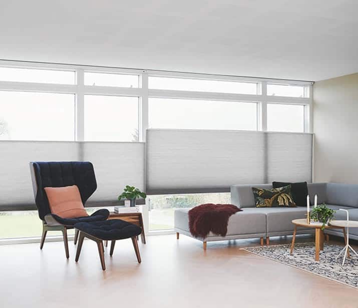 Duette® top down/bottom up shades