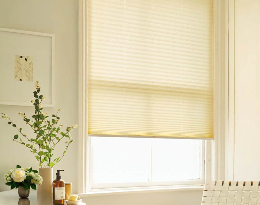 Light filtering pleated blinds