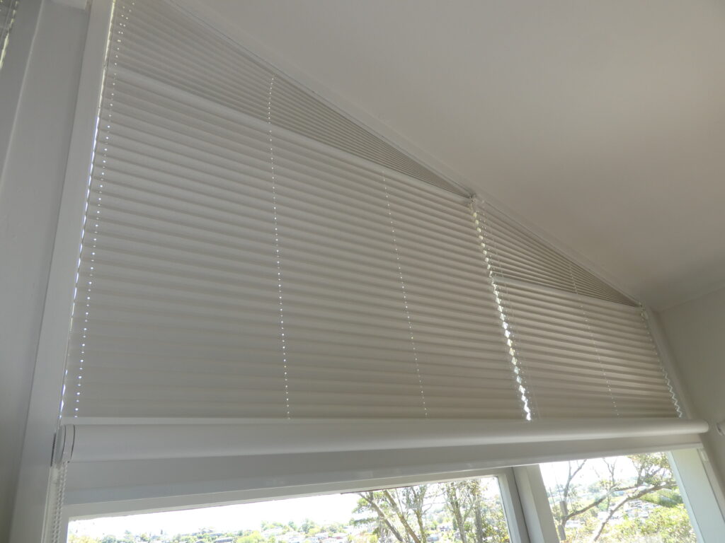 Cosiflor F-Slope pleated blinds in North Shore