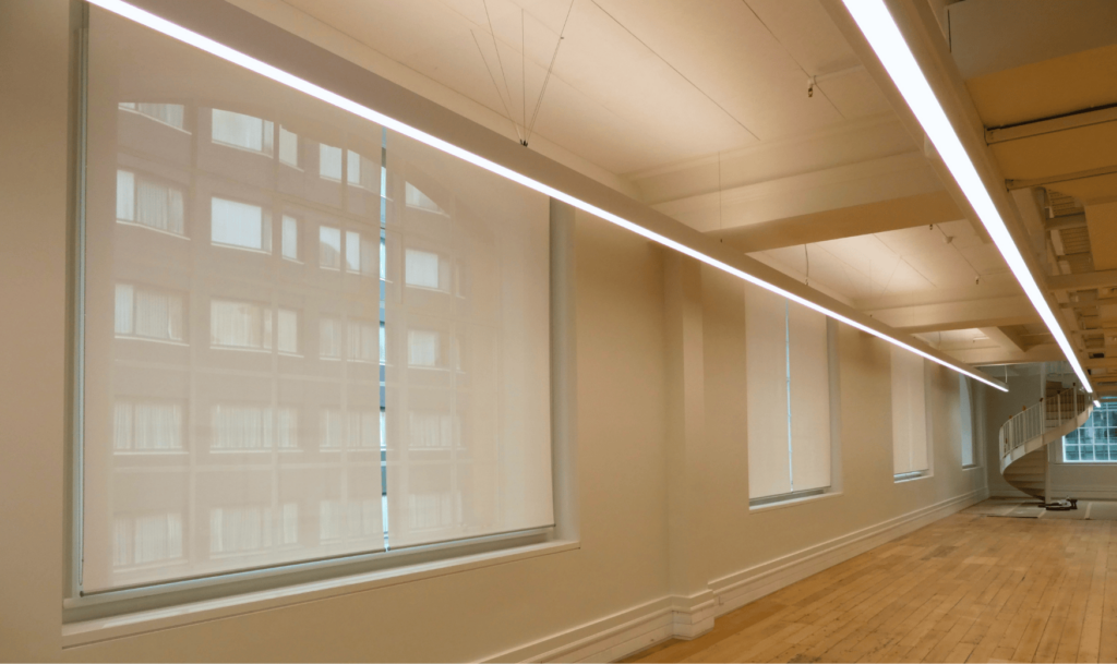 Roller blinds at Britomart CPO